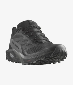 Salomon Sense Ride 5 GTX